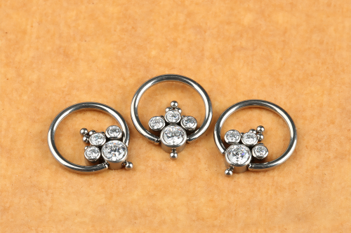 CBR Jewellery ASTM F136 Nipple Jewelry Body Piercing Titanium Jewelry Rings Zircon Jewelry ASTM F136-W29